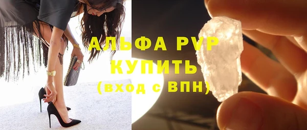 индика Белоозёрский
