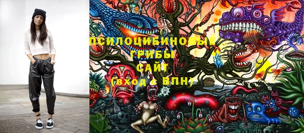 индика Белоозёрский